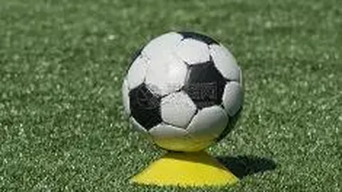 国际乒联赛事因疫情调整，世乒赛比赛日期延至六月